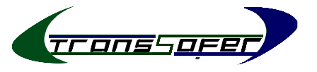 Logo de Transsafer de Herencia - Ciudad Real